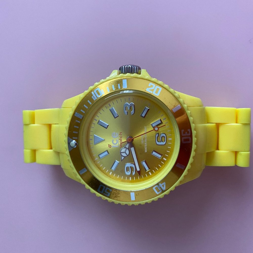 ICE WATCH